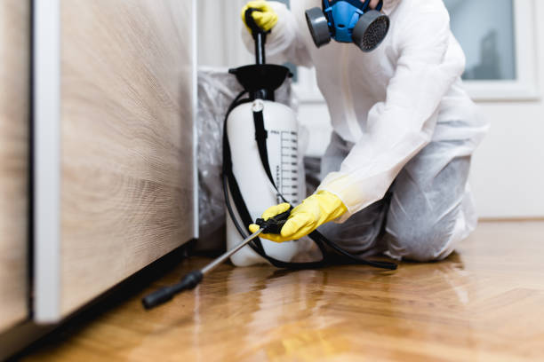Best Cockroach Control Services  in Sheridan, OR