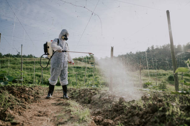 Best Best Pest Control Companies  in Sheridan, OR