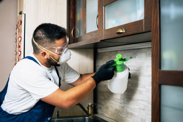 Best Best Pest Control Companies  in Sheridan, OR