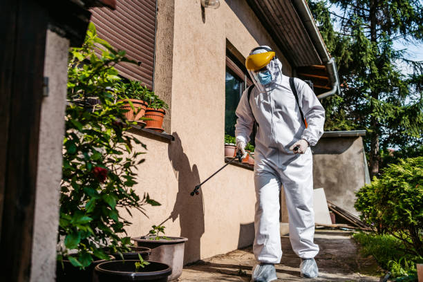 Best Emergency Pest Control  in Sheridan, OR