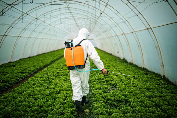 Best Affordable Pest Control Services  in Sheridan, OR