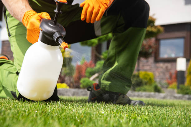 Best Wildlife Control Services  in Sheridan, OR