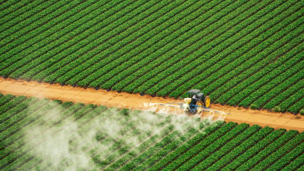 Best Commercial Pest Control Services  in Sheridan, OR