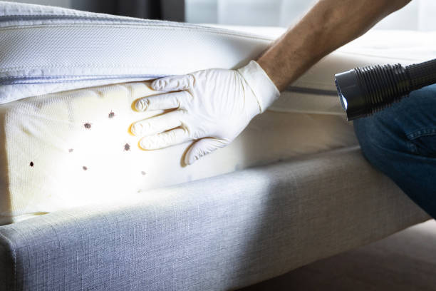Best Insect Control  in Sheridan, OR