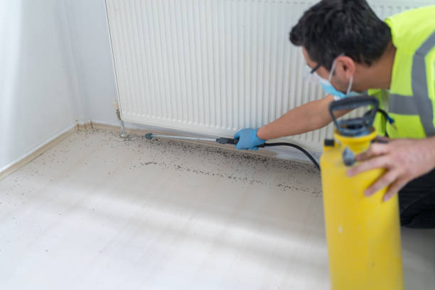Best Pest Removal Services  in Sheridan, OR