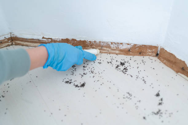 Best Mosquito Control Services  in Sheridan, OR